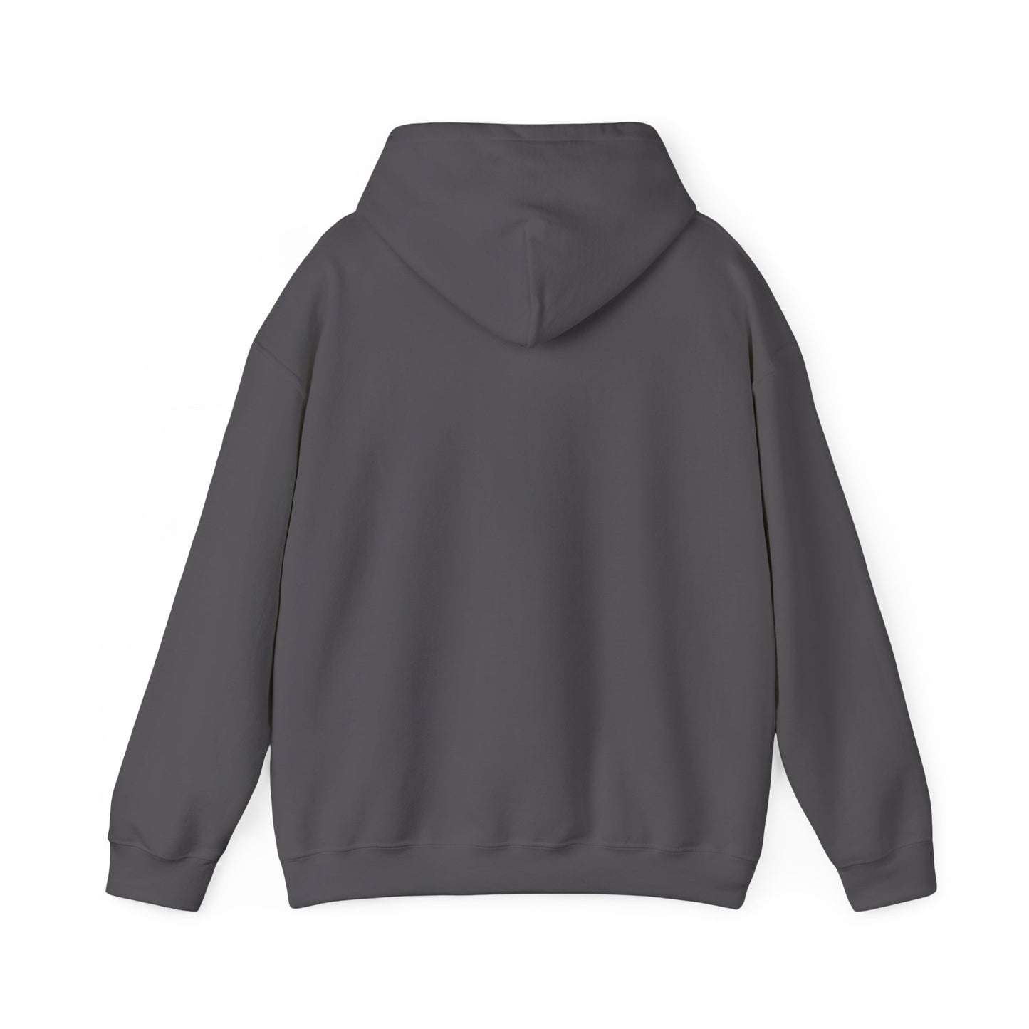 Projector-Human Design Unisex Heavy Blend™ Hooded Sweatshirt